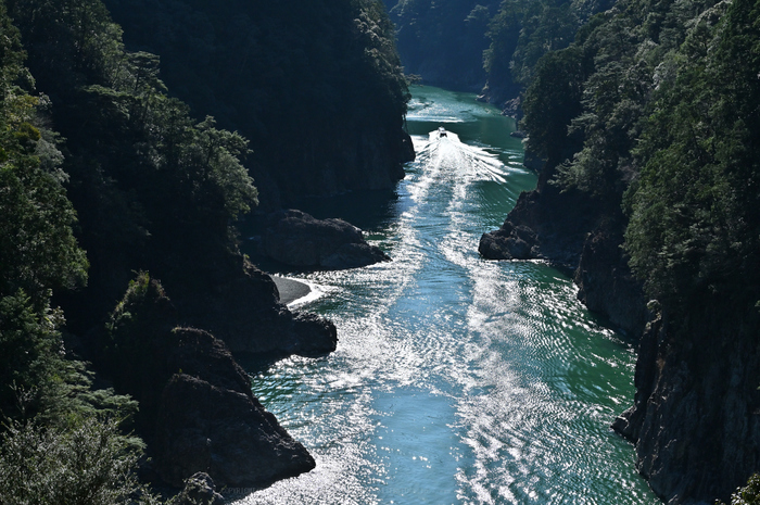 西野新川 渓流の風景 掛軸 約150cm x デカダン 60cm